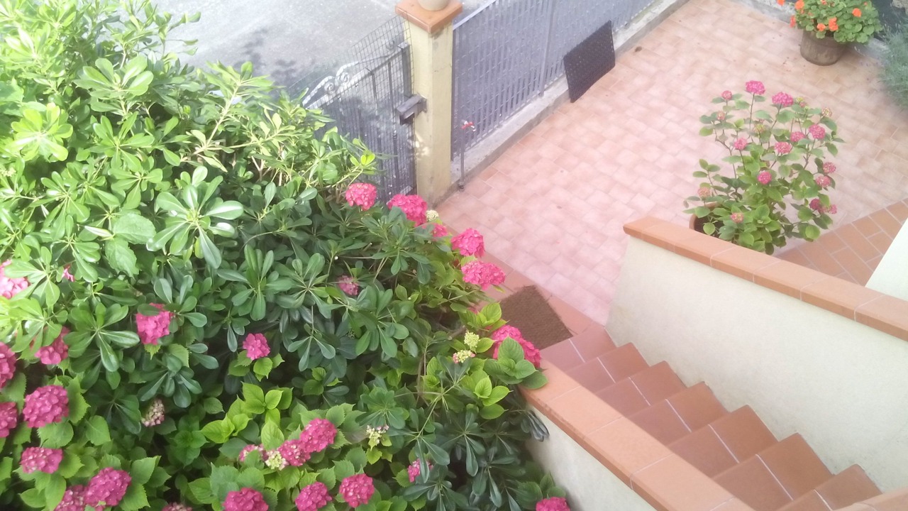 Photo of Outdoor in Marcelli