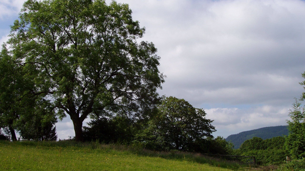 Photo of Others in Pontyclun