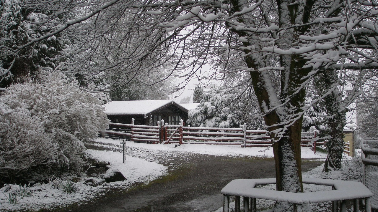 Photo of Outdoor in Pontyclun