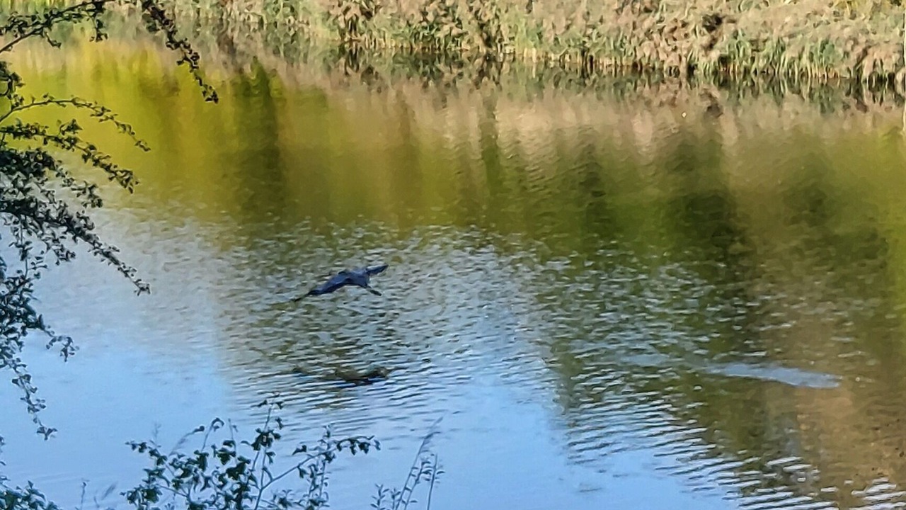 Photo of Others in Barnes