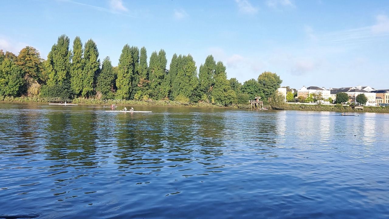 Photo of Outdoor in Barnes