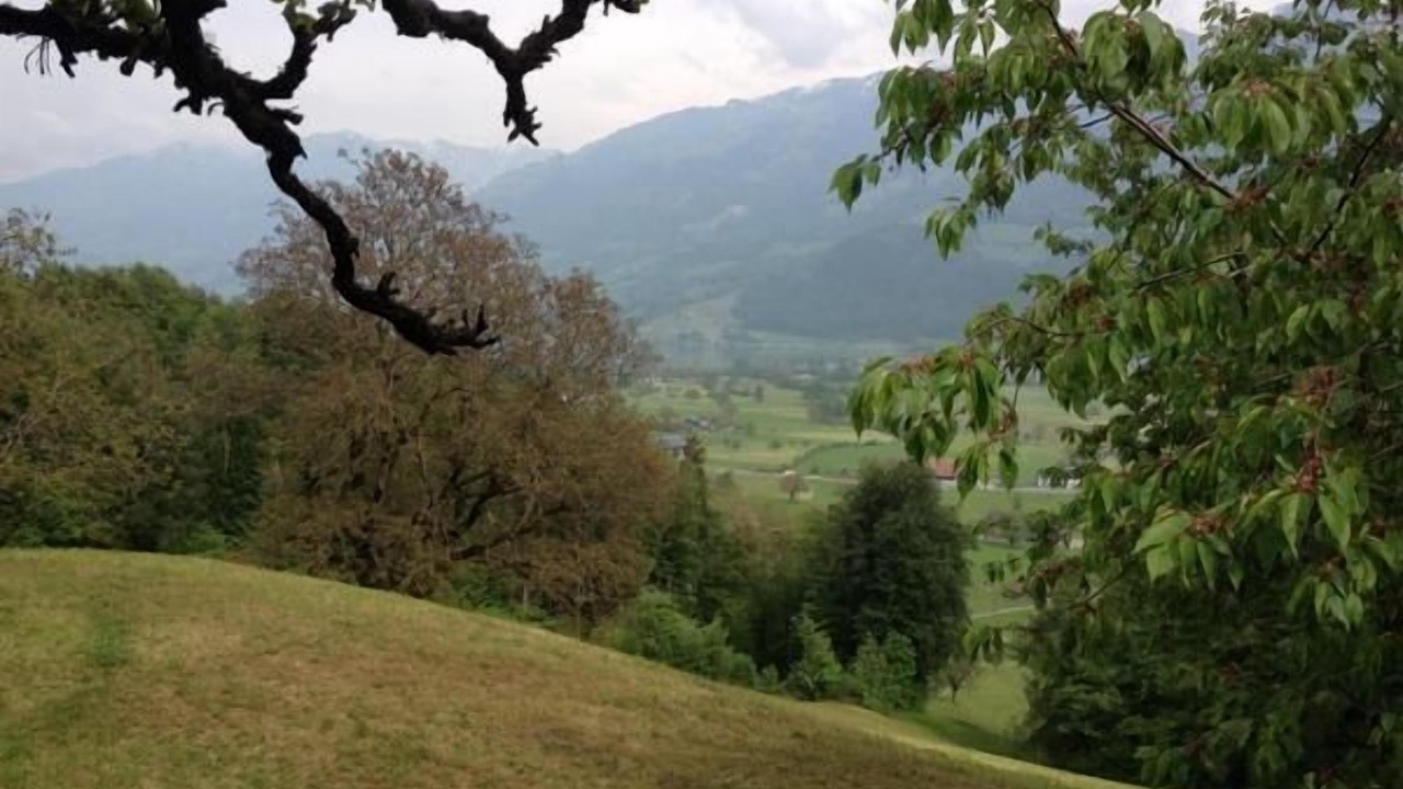 Photo of Others in Giswil