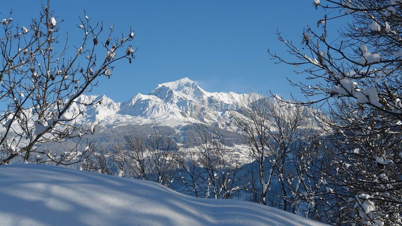 Photo of Others in La Plagne-Tarentaise