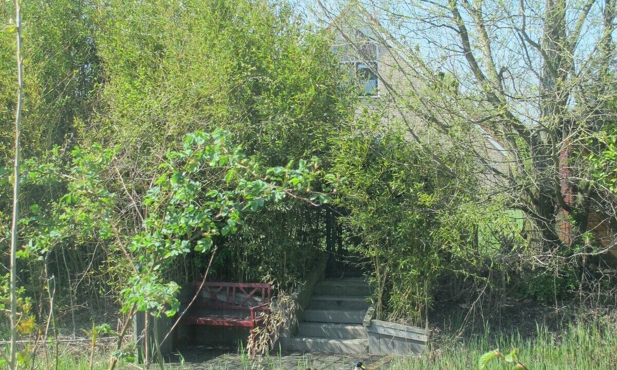 Photo of Outdoor in Breskens