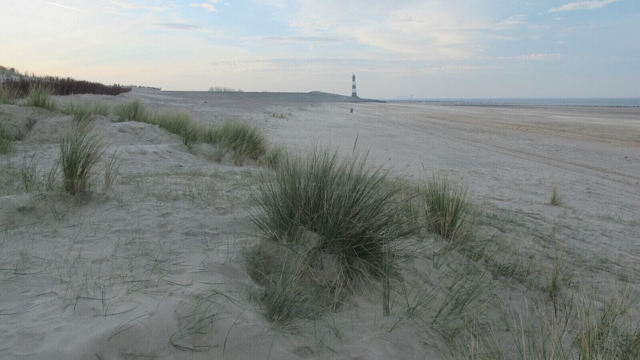 Photo of Others in Breskens