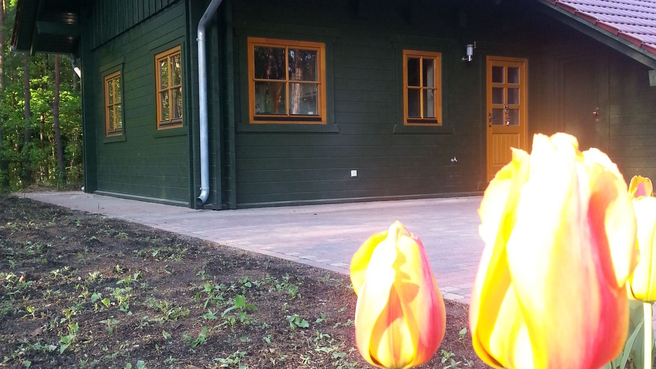 Photo of Outdoor in Borkwalde