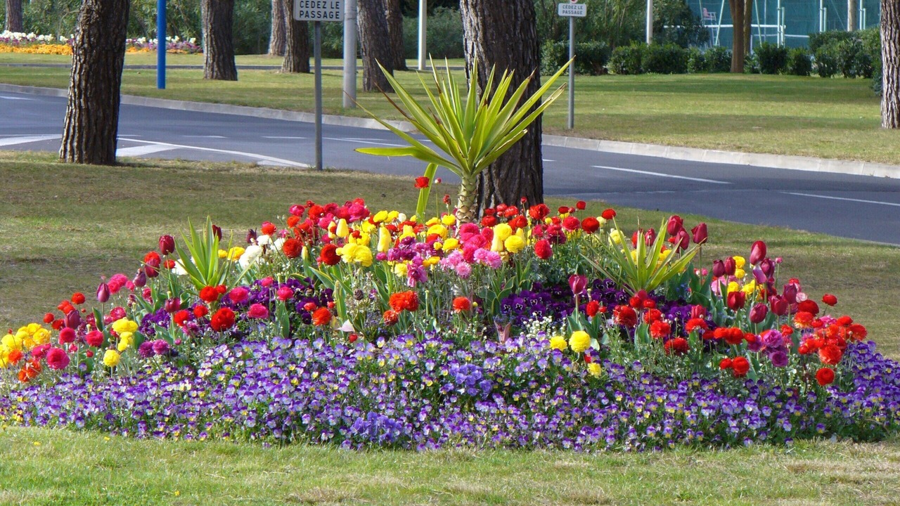 Photo of Outdoor in Gruissan