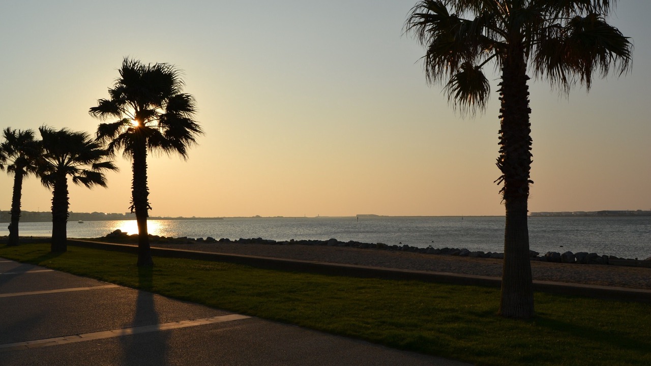 Photo of Others in Gruissan