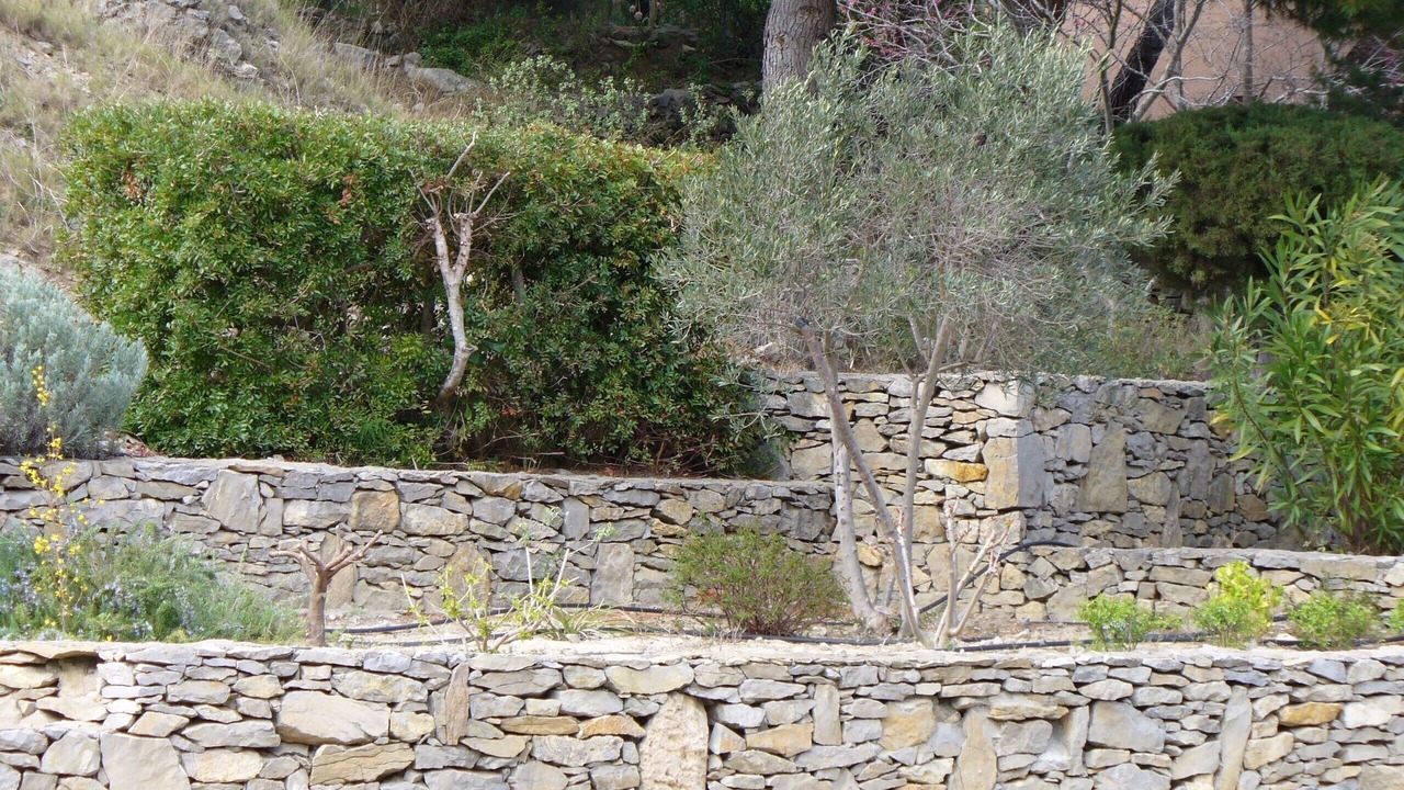 Photo of Outdoor in Gruissan