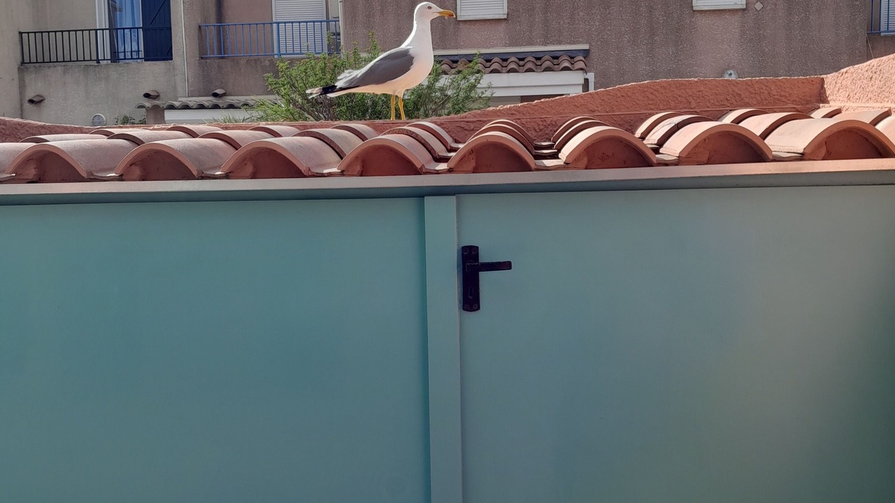 Photo of Outdoor in Gruissan