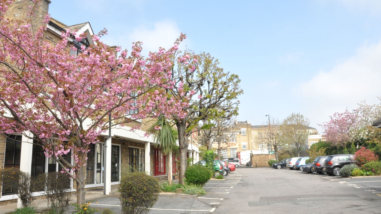 Photo of Others in Shacklewell