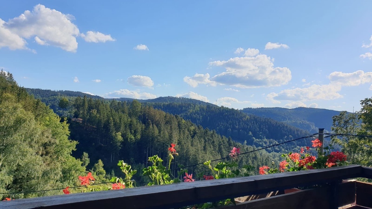 Photo of Outdoor in Triberg im Schwarzwald