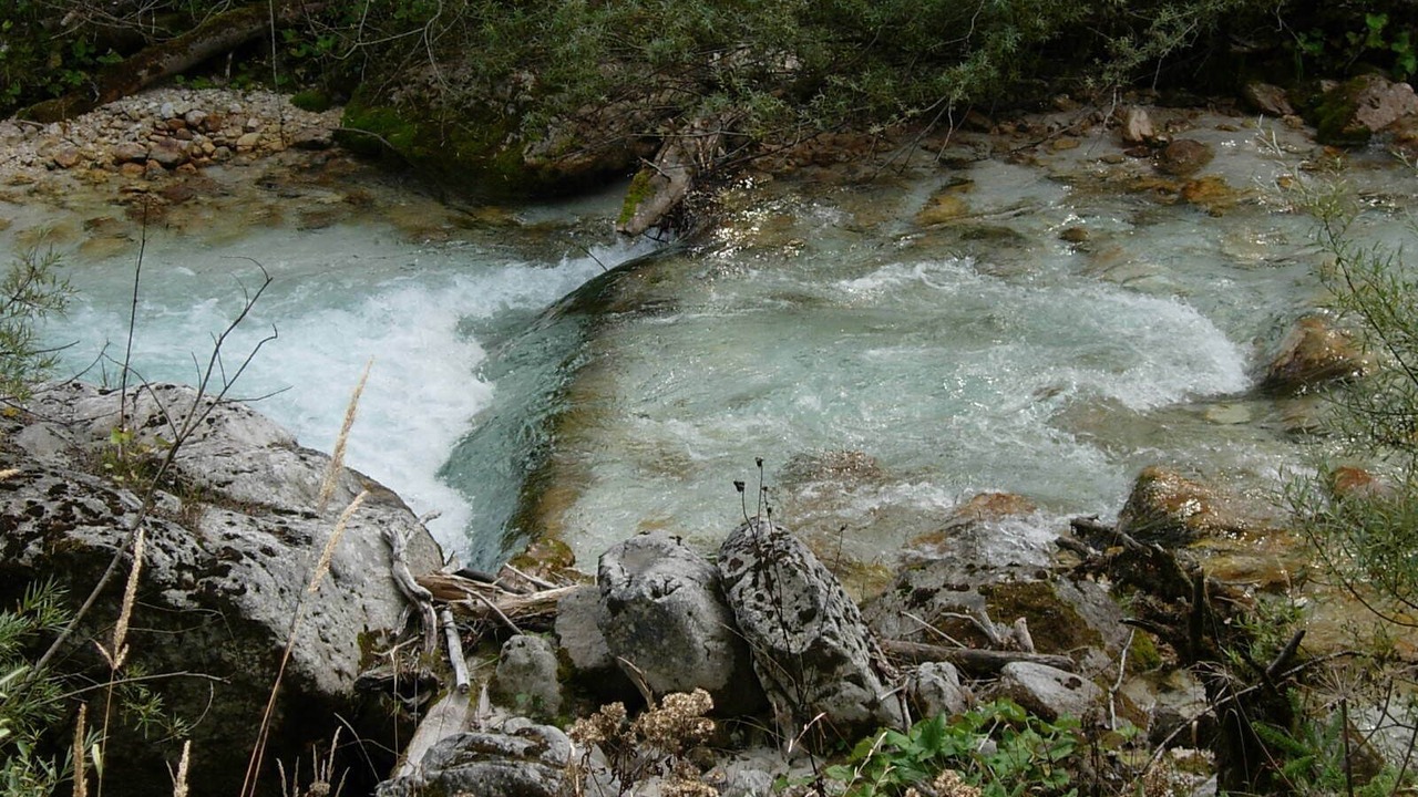 Photo of Others in Zgornje Gorje