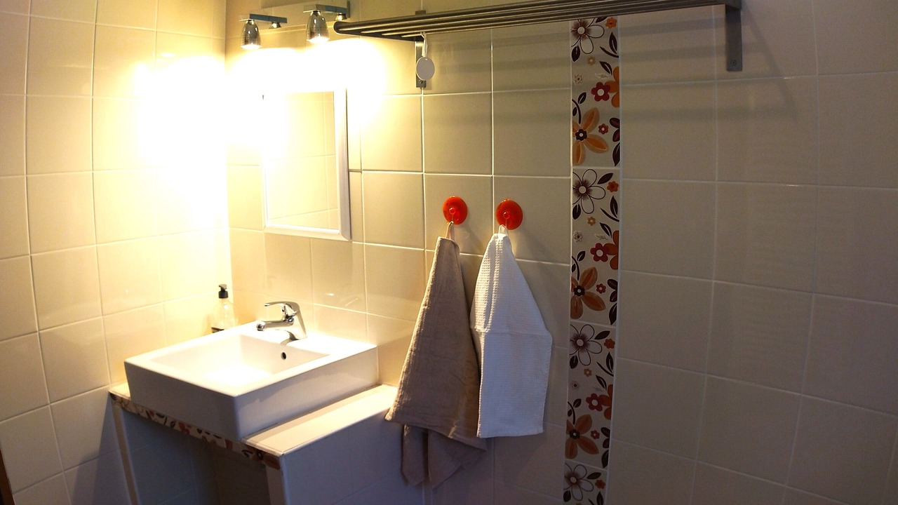 Photo of Bathroom in Collias