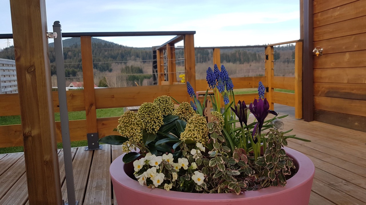 Photo of Outdoor in Gerbepal