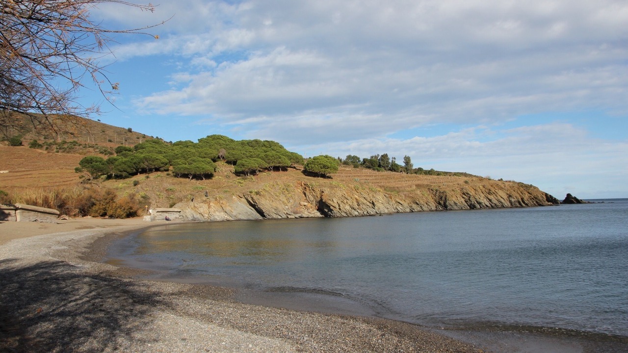 Photo of Others in Port-Vendres