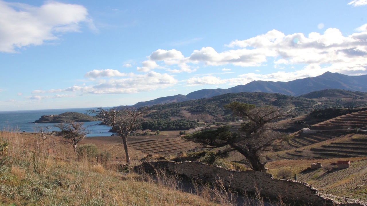 Photo of Outdoor in Port-Vendres