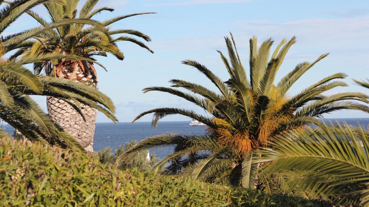 Photo of Outdoor in Port-Vendres