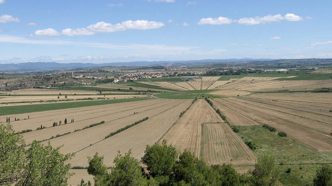 Photo of Others in Montady
