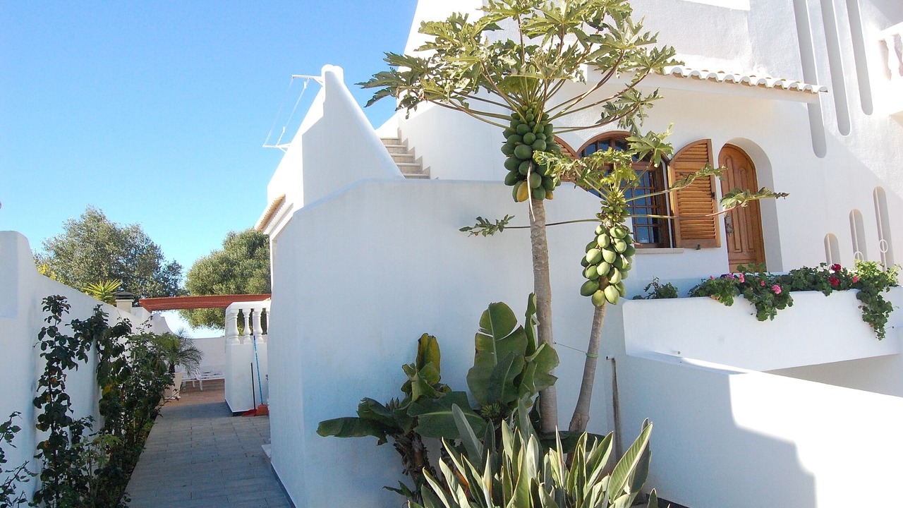 Photo of Outdoor in Areias de Sao Joao