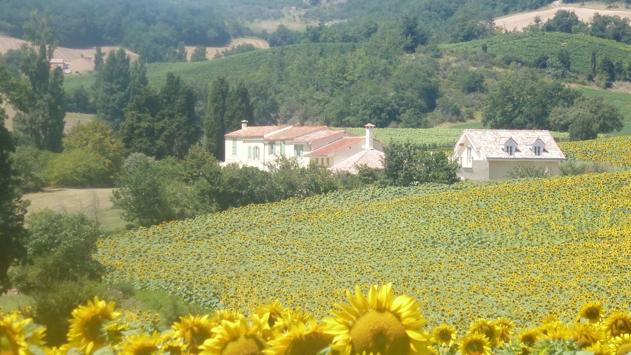 Photo of Others in Hounoux
