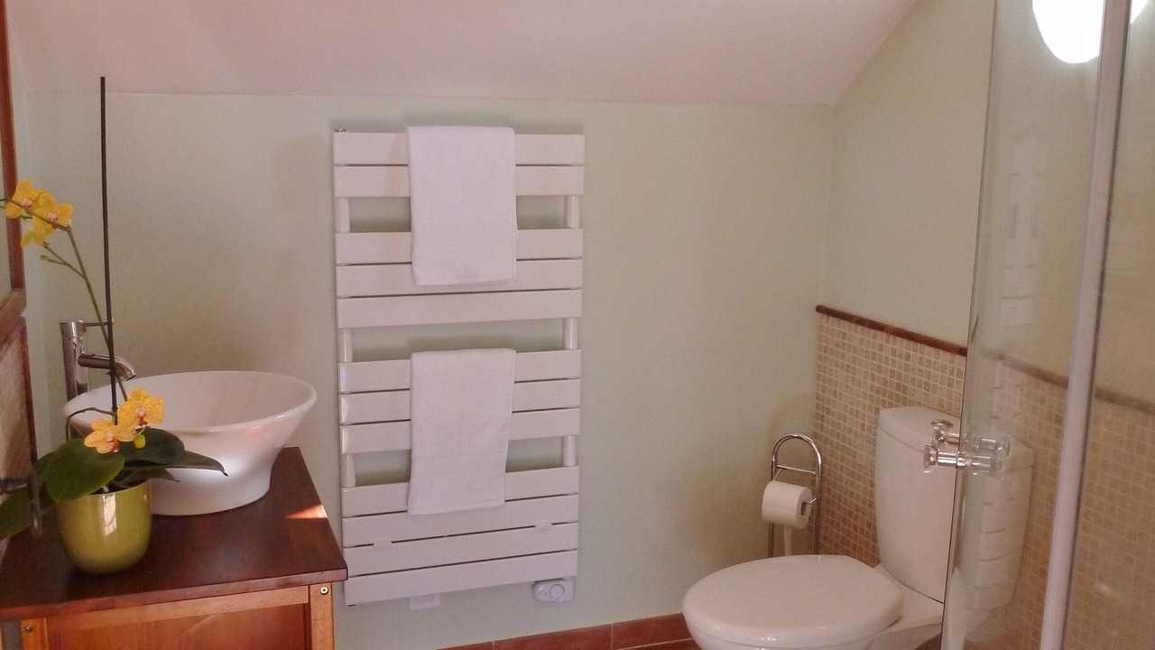 Photo of Bathroom in Hounoux