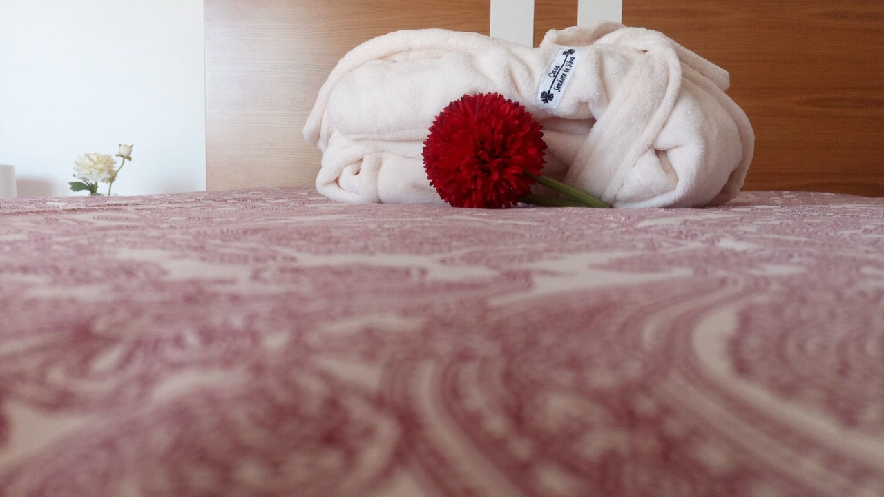 Photo of Bedroom in Alpendurada e Matos
