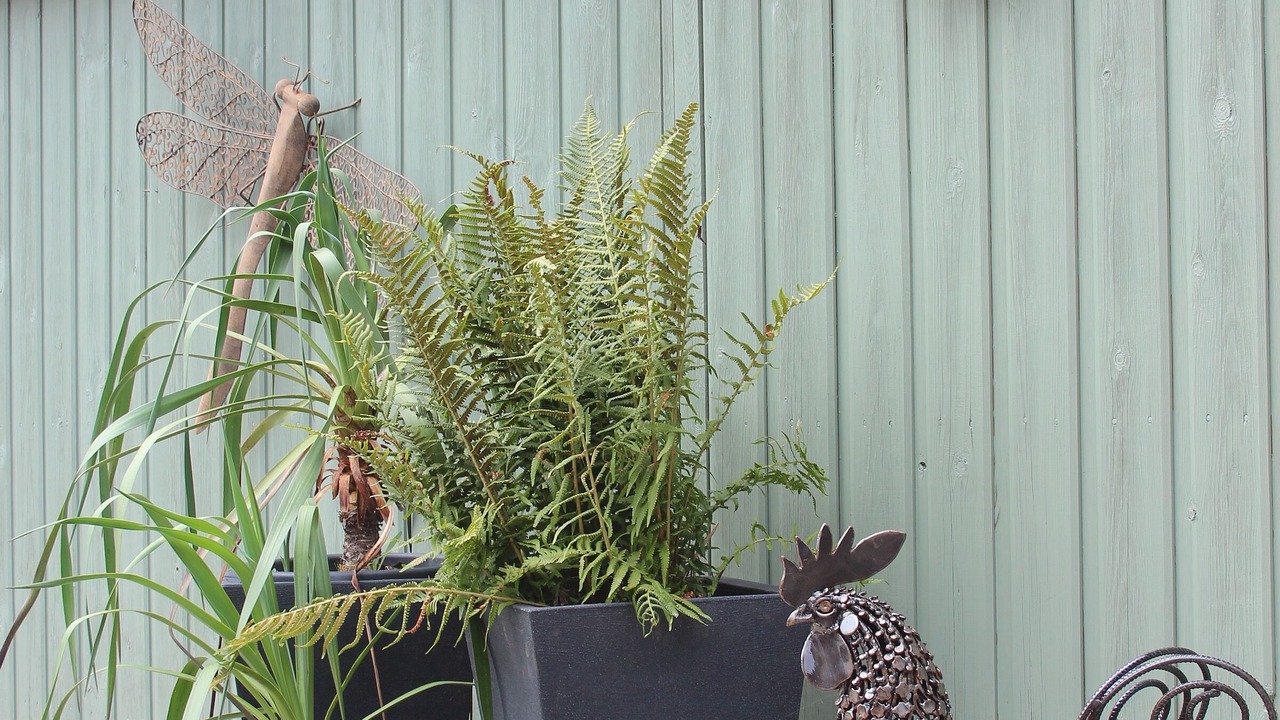 Photo of Outdoor in Moretonhampstead