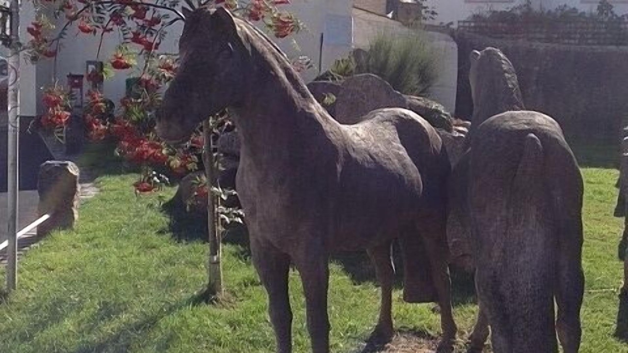 Photo of Others in Moretonhampstead