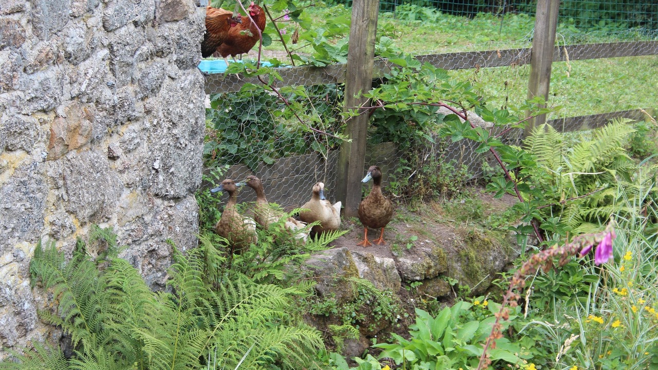 Photo of Others in Moretonhampstead