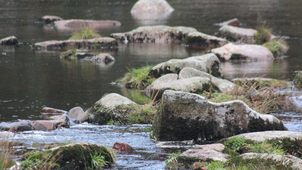 Photo of Others in Moretonhampstead