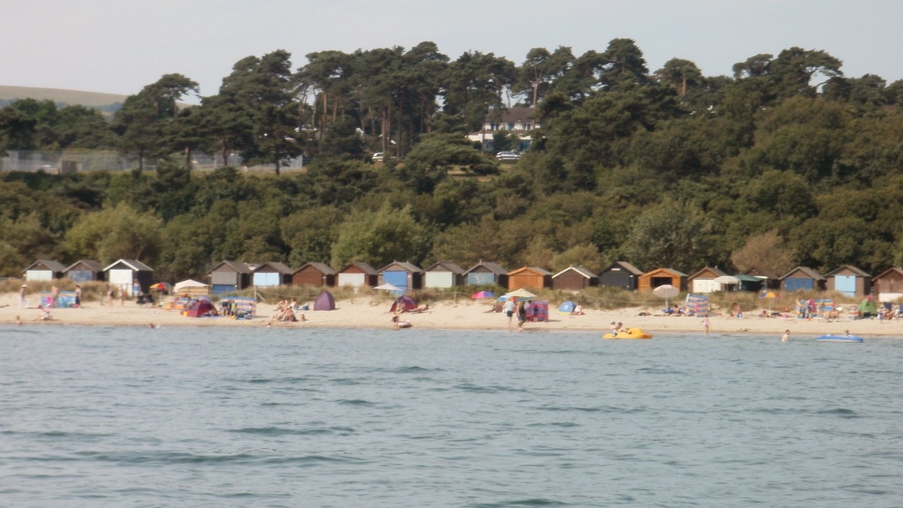 Photo of Others in Poole