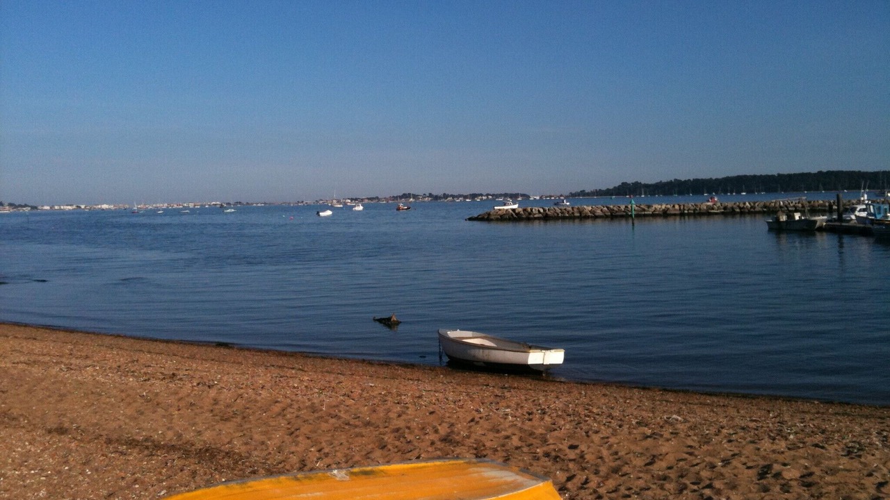 Photo of Others in Poole