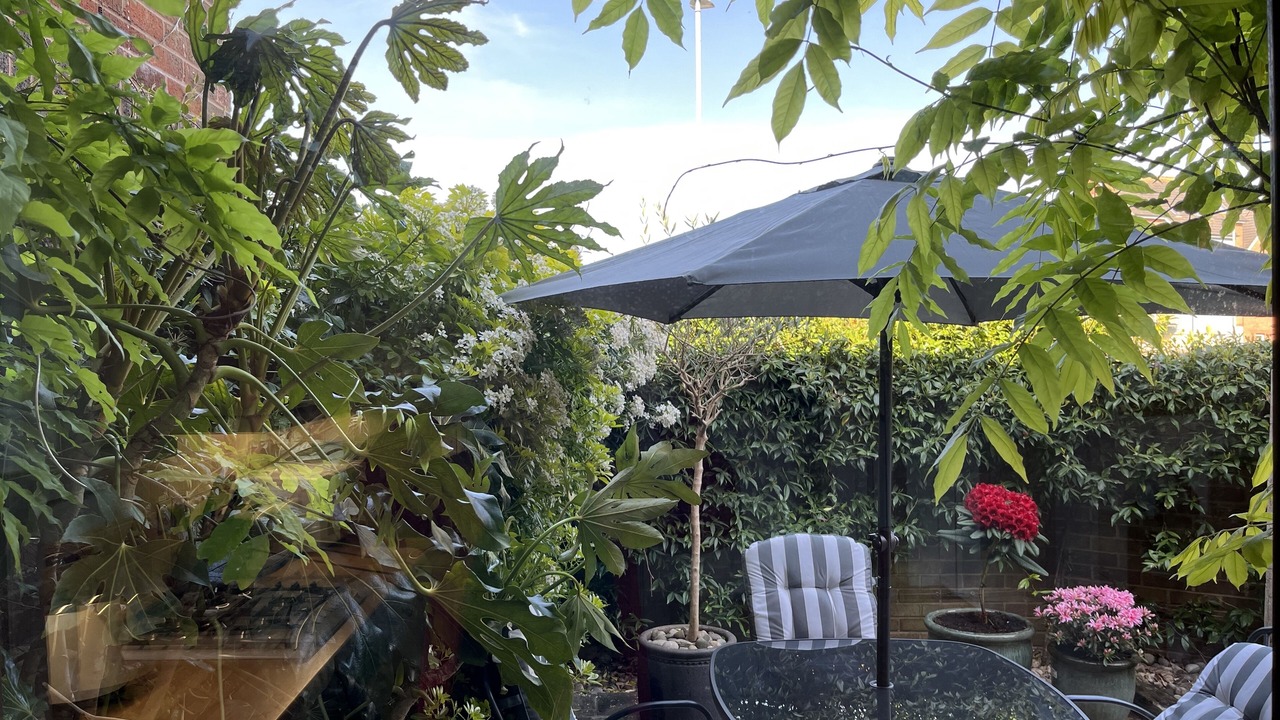 Photo of Outdoor in Poole