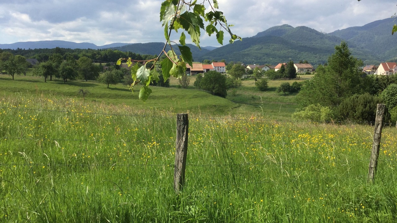 Photo of Others in Masevaux-Niederbruck