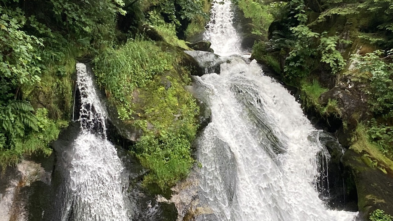 Photo of Outdoor in Lenzkirch