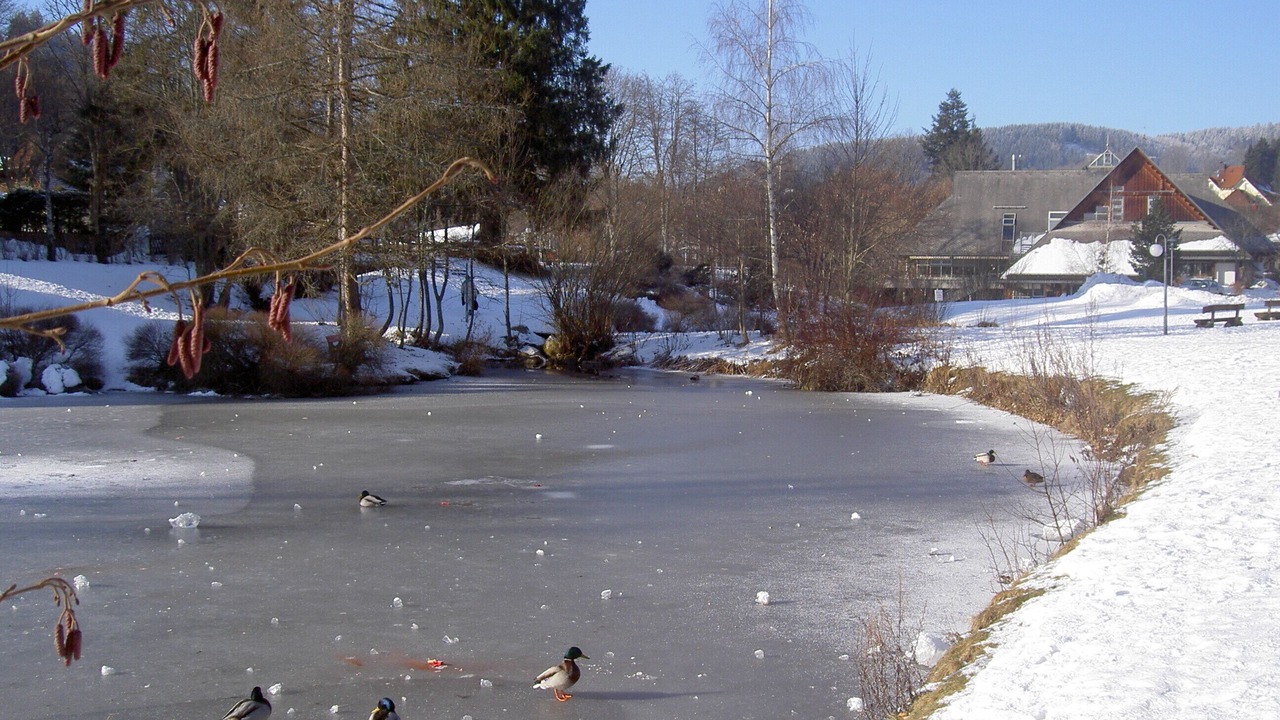 Photo of Others in Lenzkirch