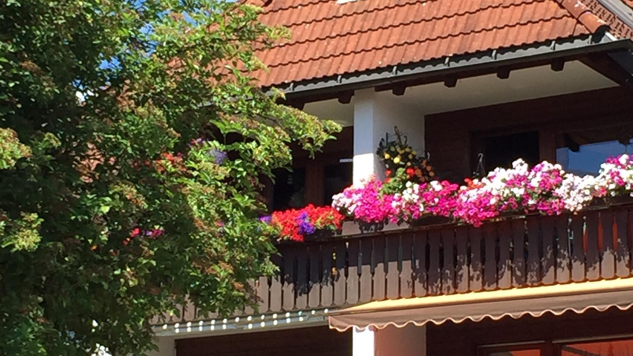 Photo of Outdoor in Lenzkirch