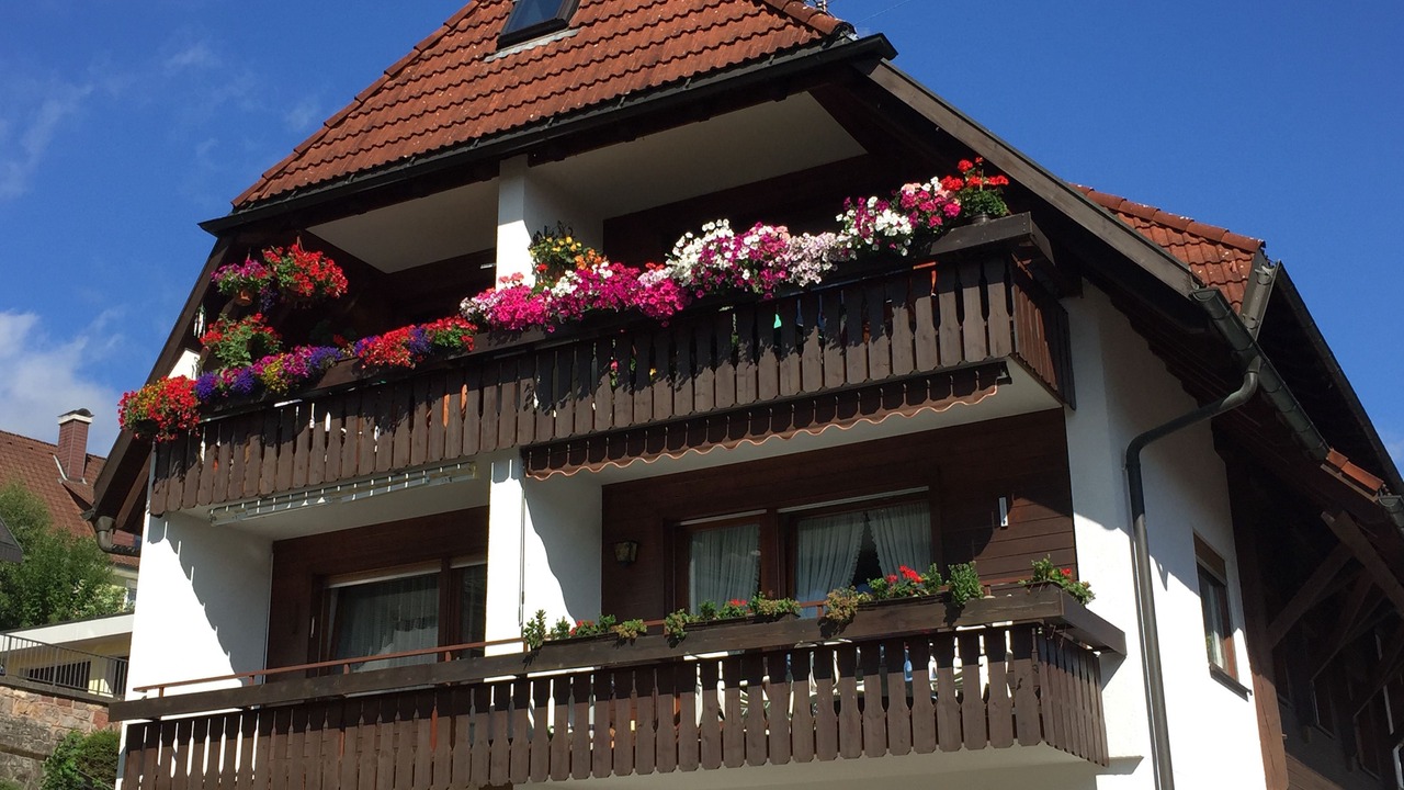 Photo of Outdoor in Lenzkirch