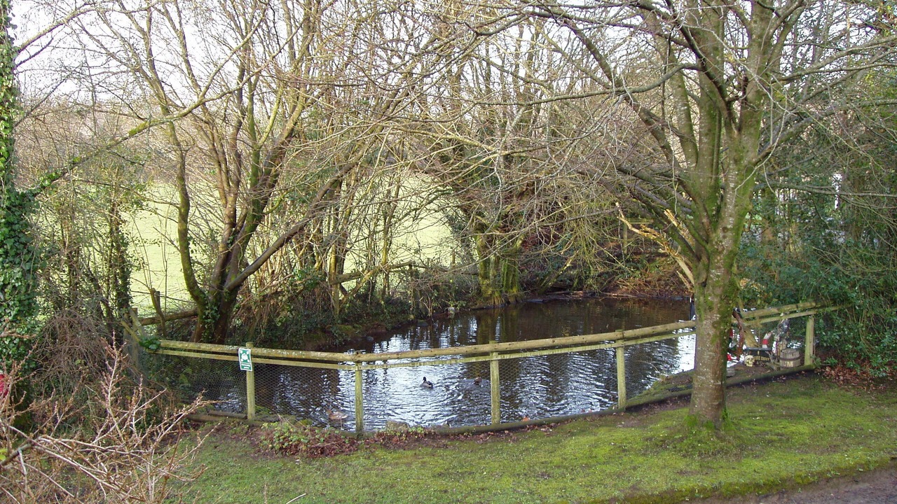 Photo of Others in Pontyclun