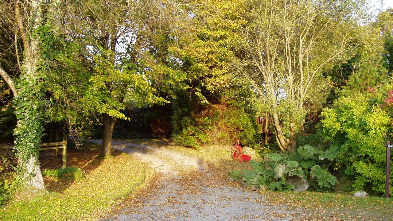 Photo of Others in Pontyclun