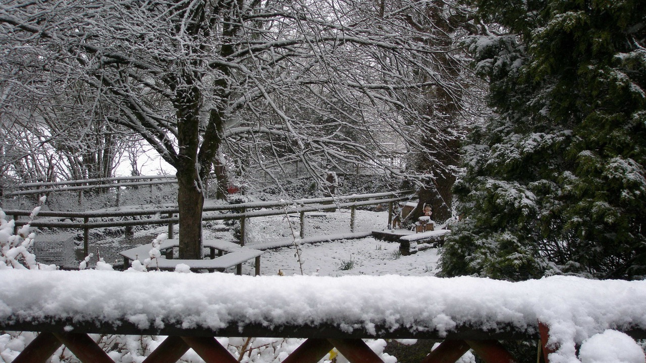 Photo of Outdoor in Pontyclun