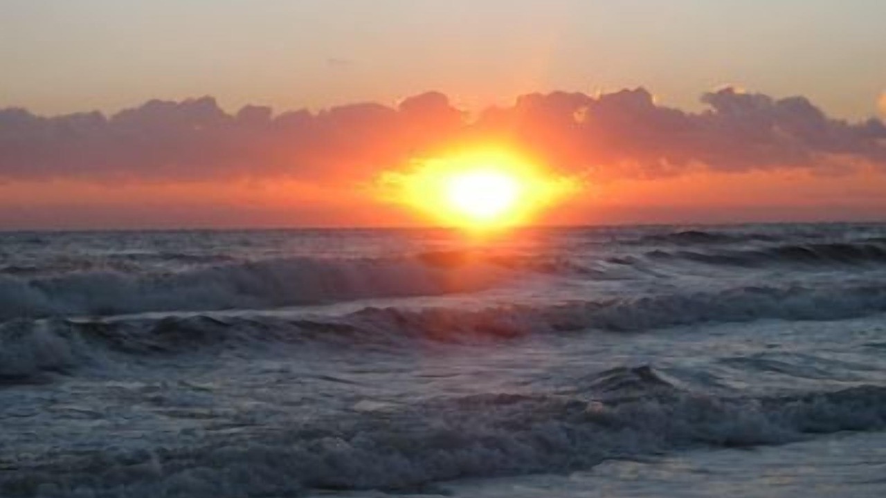 Photo of Others in Palm Coast