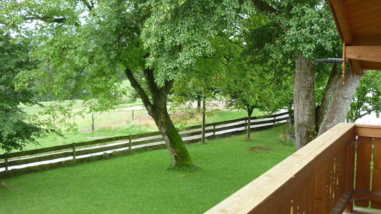 Photo of Outdoor in Munchen District