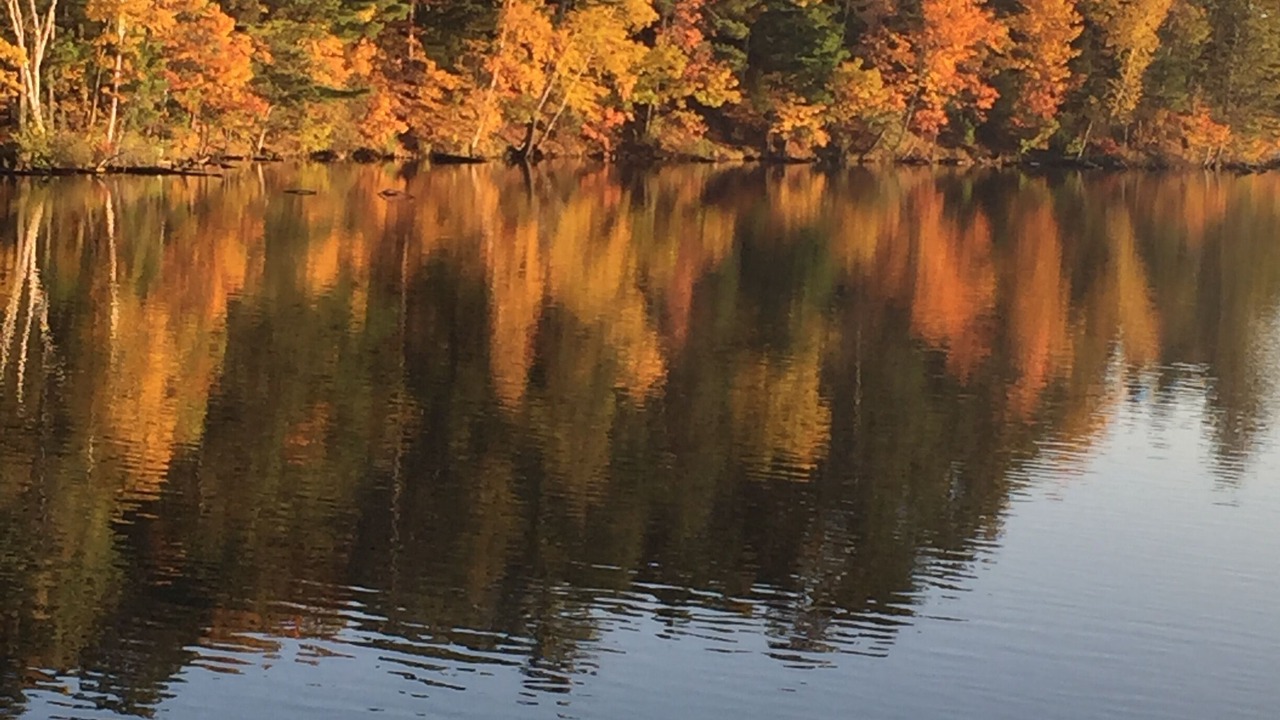 Photo of Others in Iron River