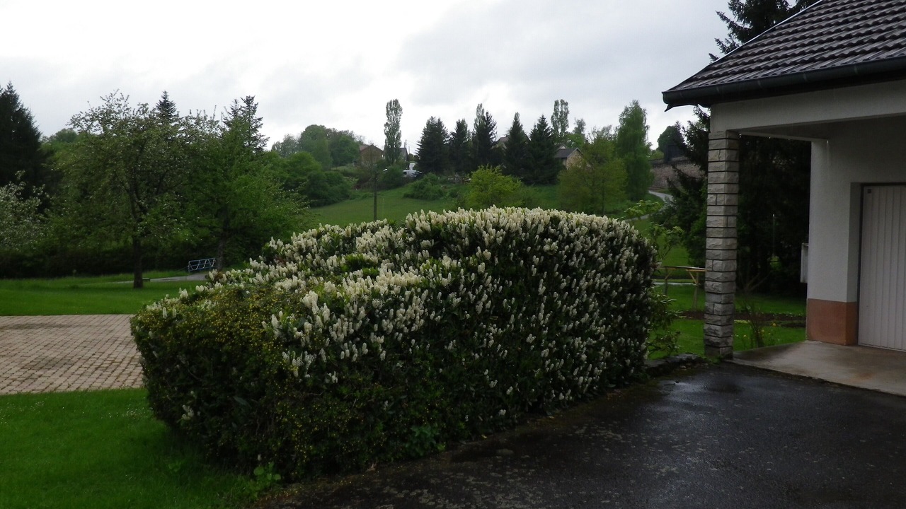 Photo of Outdoor in Champagney