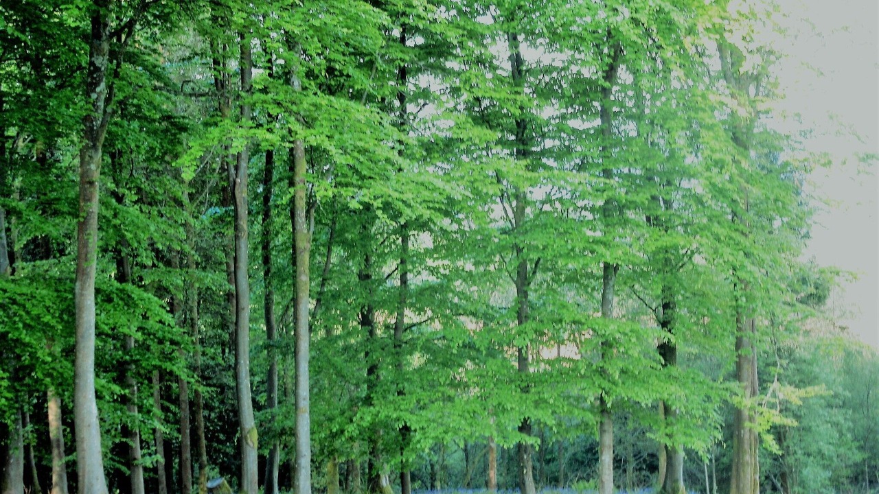 Photo of Outdoor in Alexandria