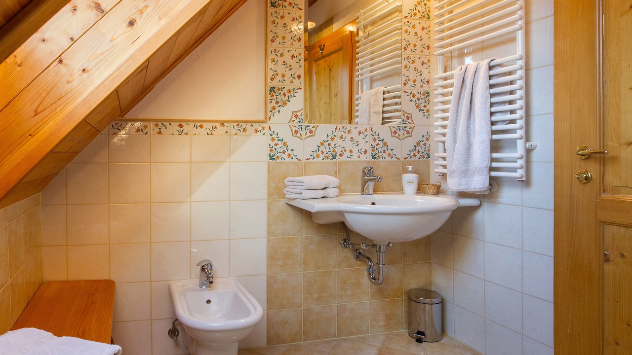Photo of Bathroom in Lasko