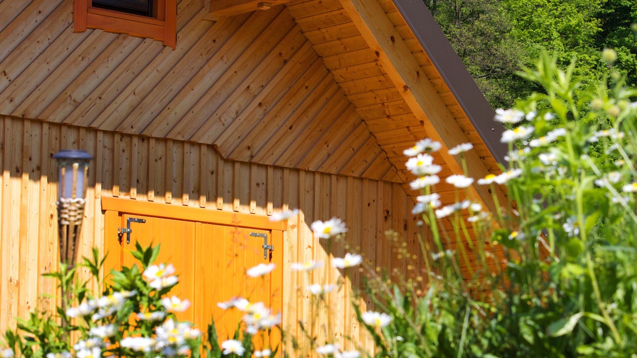 Photo of Outdoor in Lasko