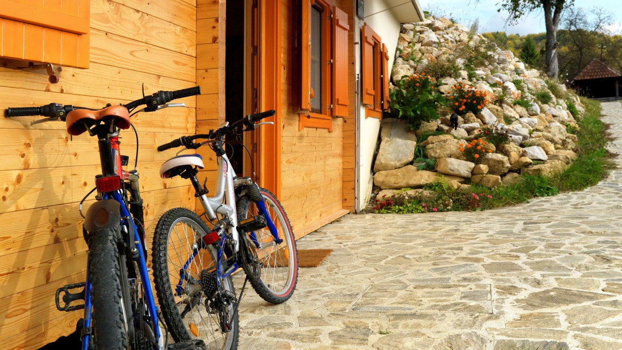 Photo of Outdoor in Lasko